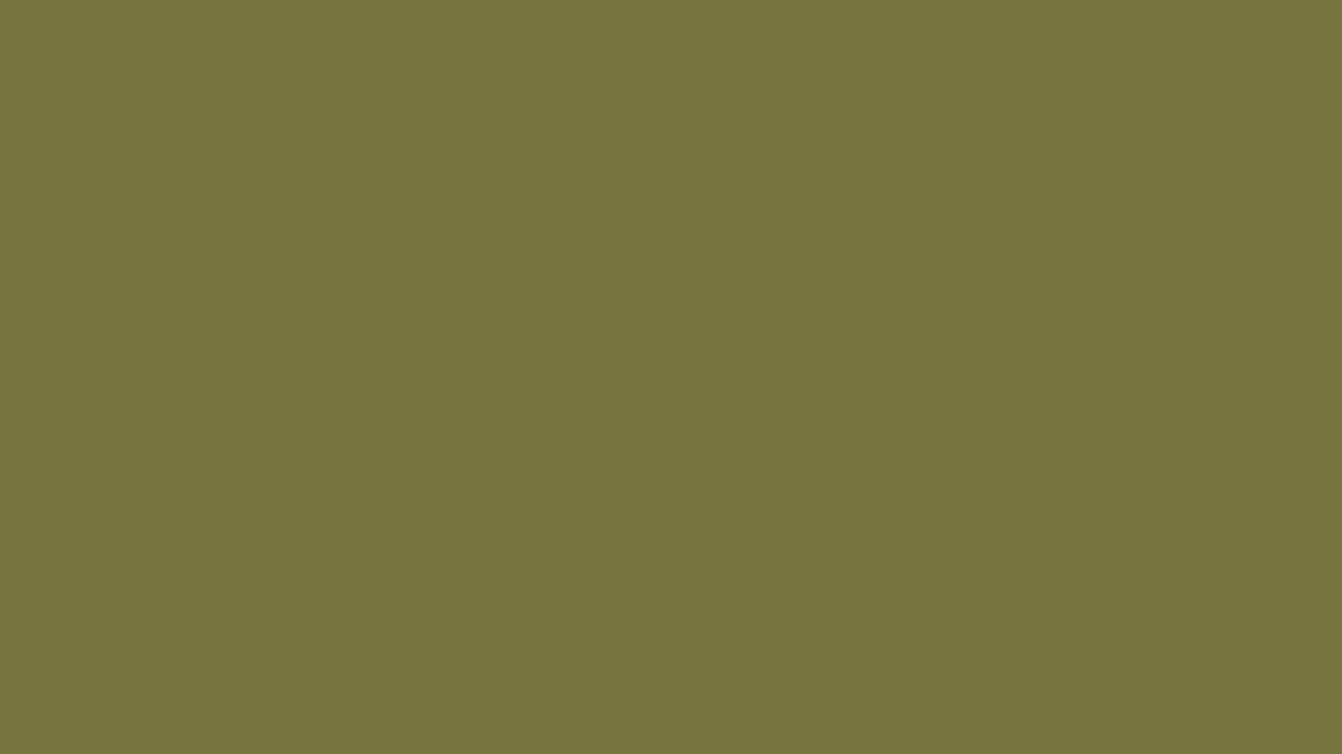 Dark Olive Green — Lego Brick Colors