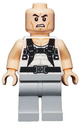 Rhino LEGO Minifigure