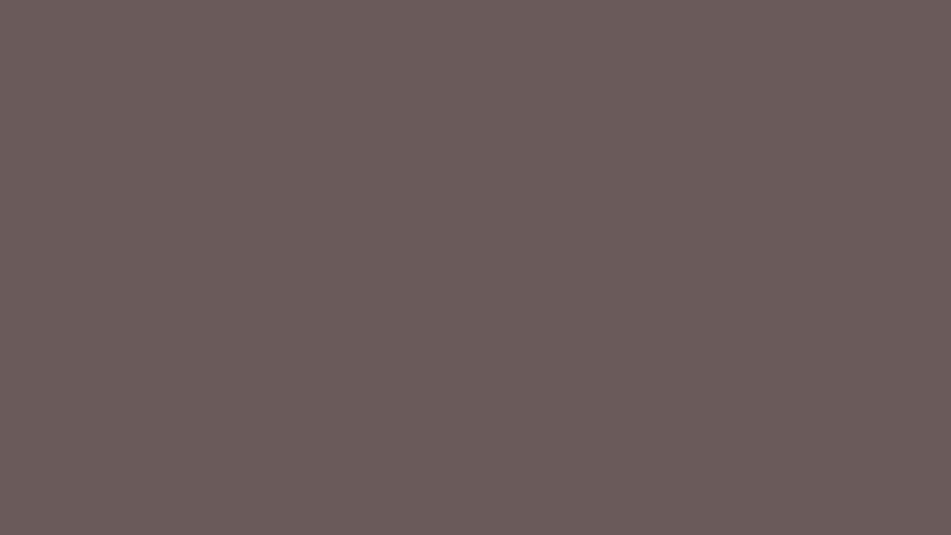 Dark Gray — Lego Brick Colors