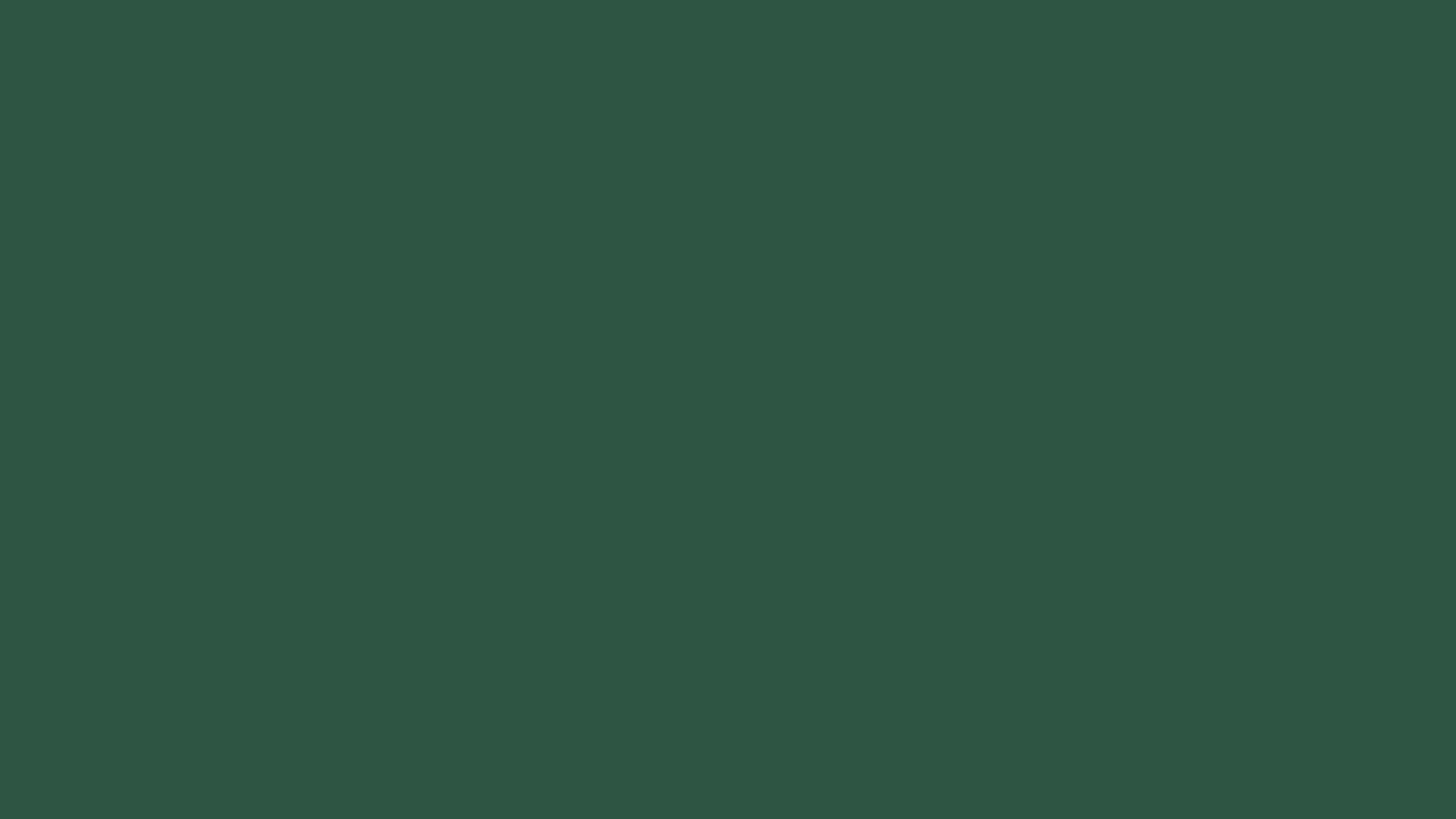 Dark Green — Lego Brick Colors