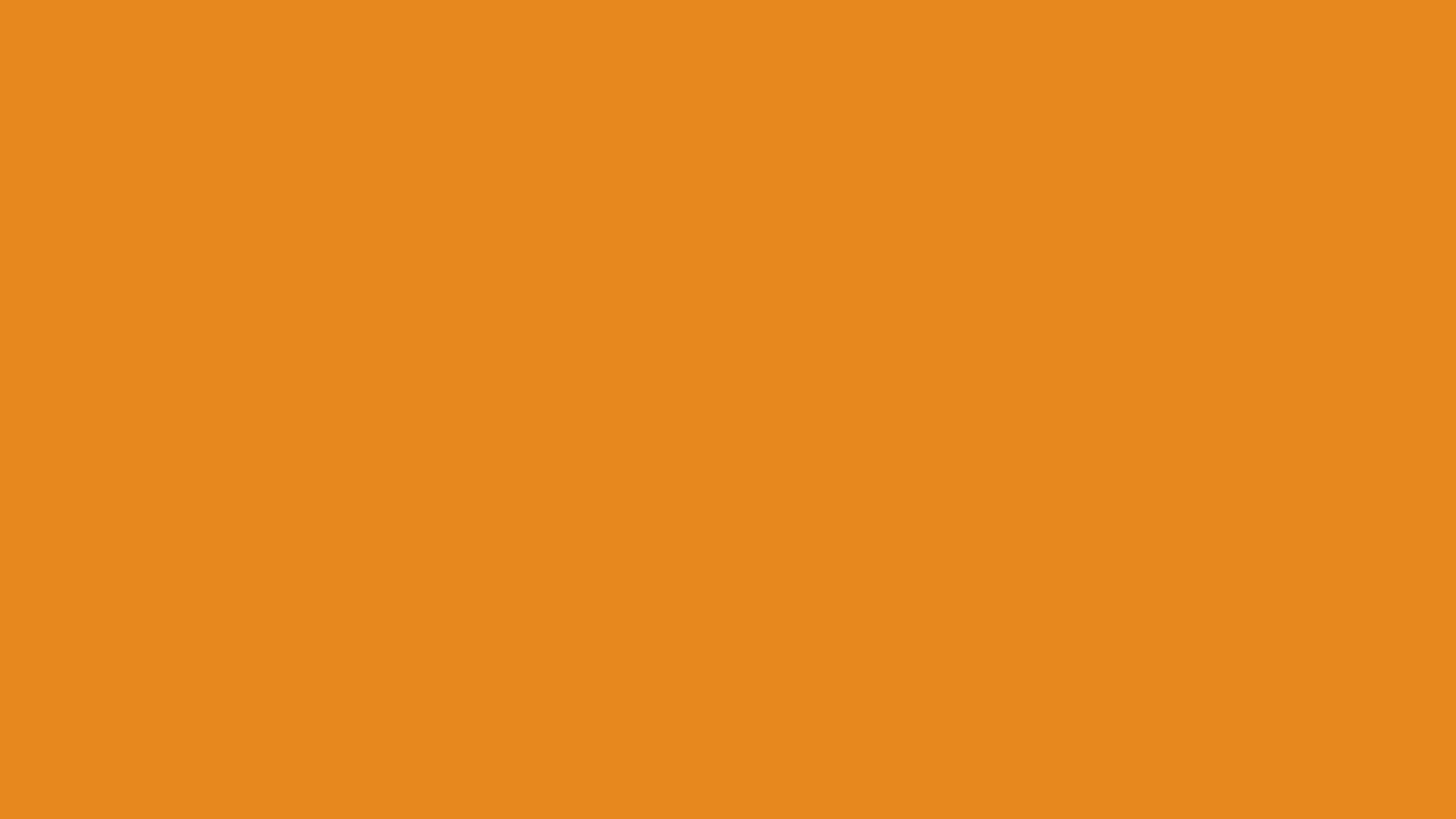 Earth Orange — Lego Brick Colors