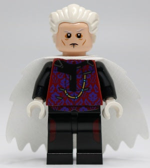 The Collector LEGO Minifigure