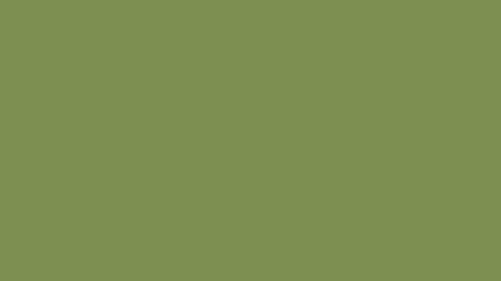 Mx Olive Green — Lego Brick Colors