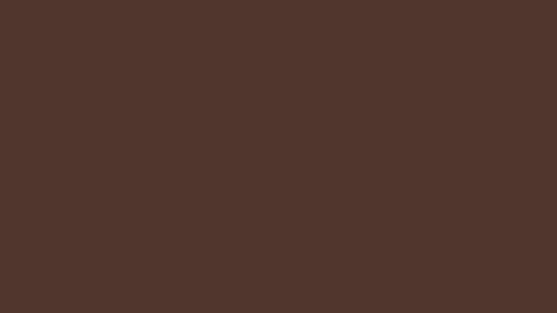 Dark Brown — Lego Brick Colors