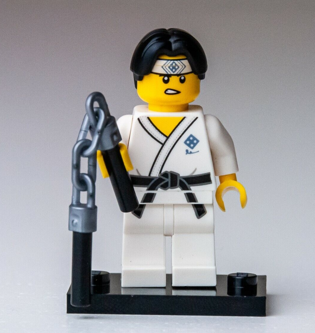 LEGO Martial Arts Boy - CMF Series 20 - col20-10 (col367) Minifigures - StudBee