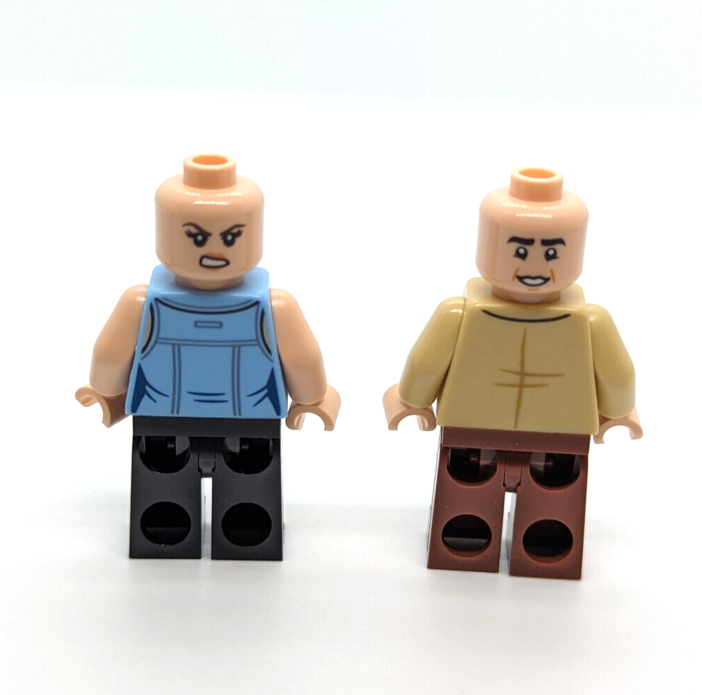 Lego Friends Minifigures - Ross Geller & Rachel Green CUUSOO 21319 (idea056) - StudBee