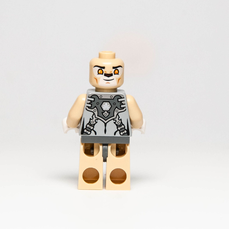 47080453