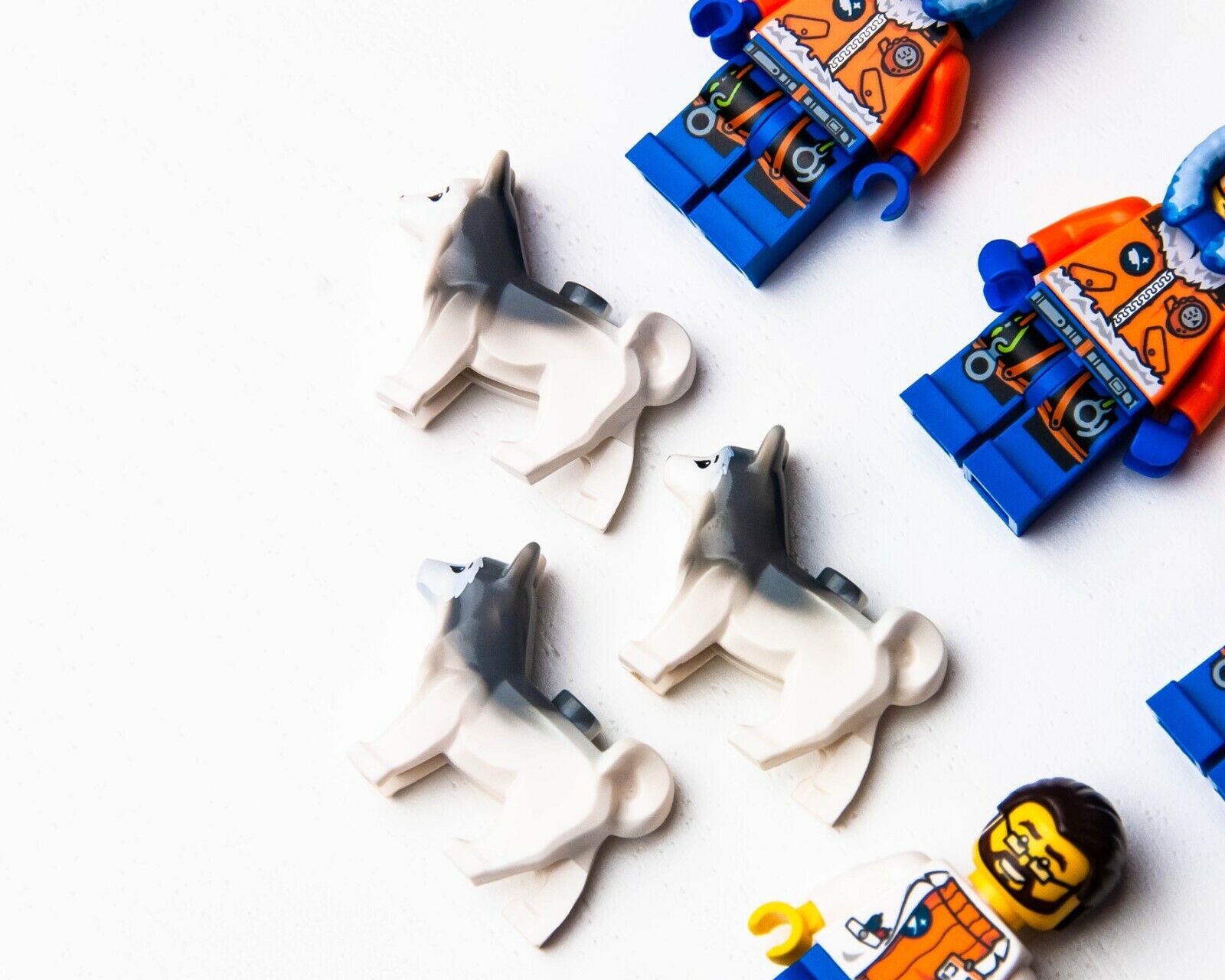 LEGO Arctic Minifigure Lot - Polar Bear Husky Dogs - Base Camp - 60036 (brr - StudBee