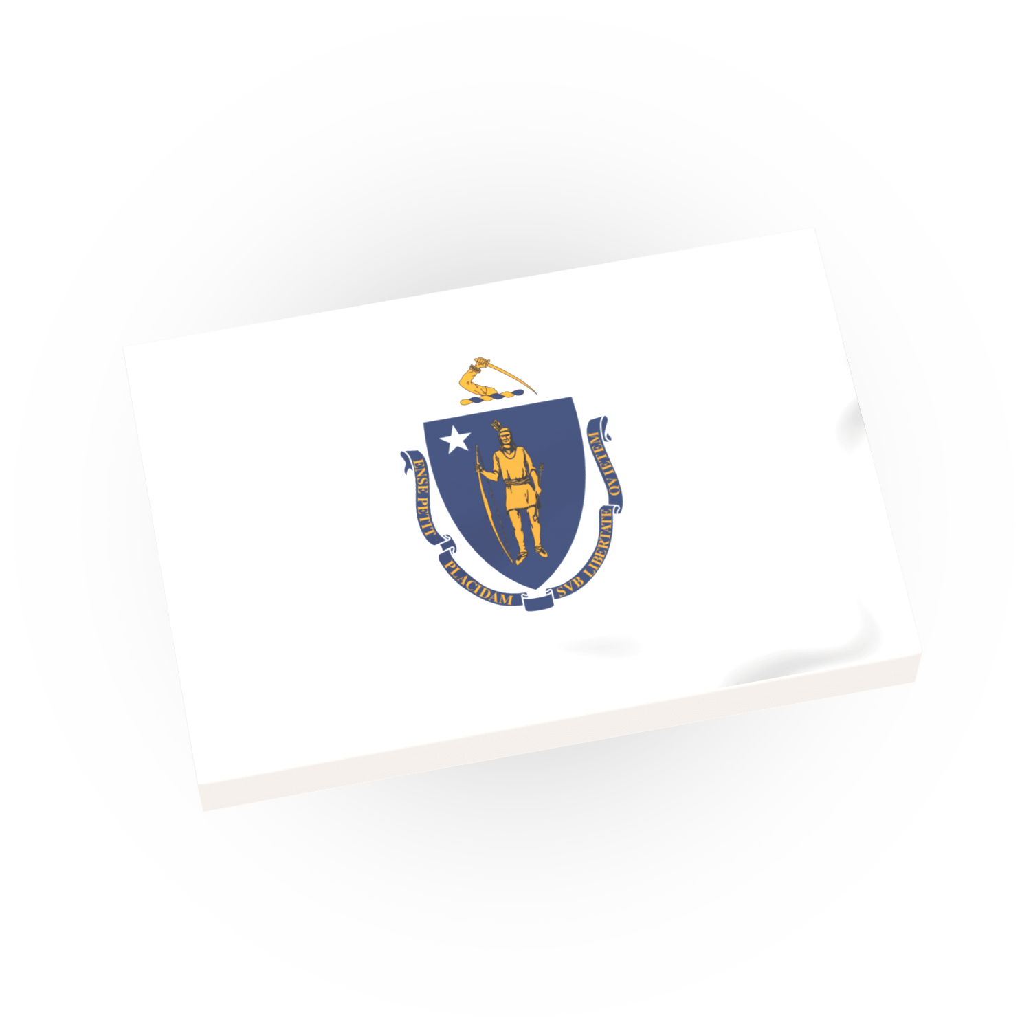Custom printed Massachusetts State Flag on a white Lego 2x3 tile