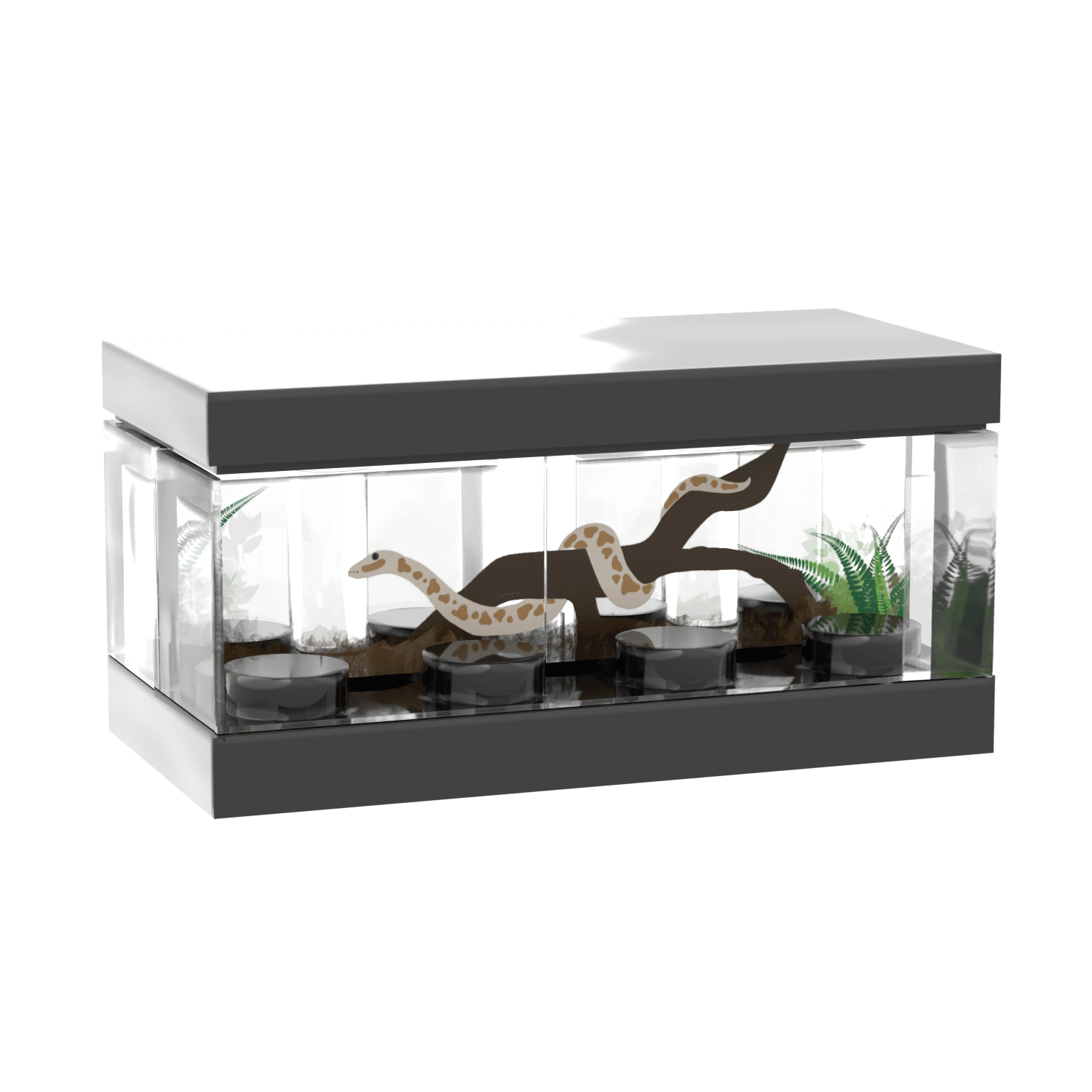 A transparent terrarium featuring a printed snake, with a black base and decorations inside. The terrarium is made using LEGO® parts.