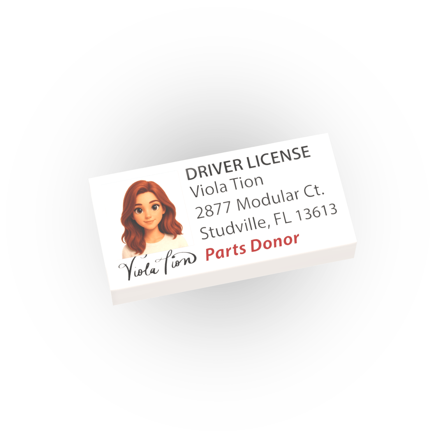 A printed driving license with a photo of a female toy like figure and address, on a white background.