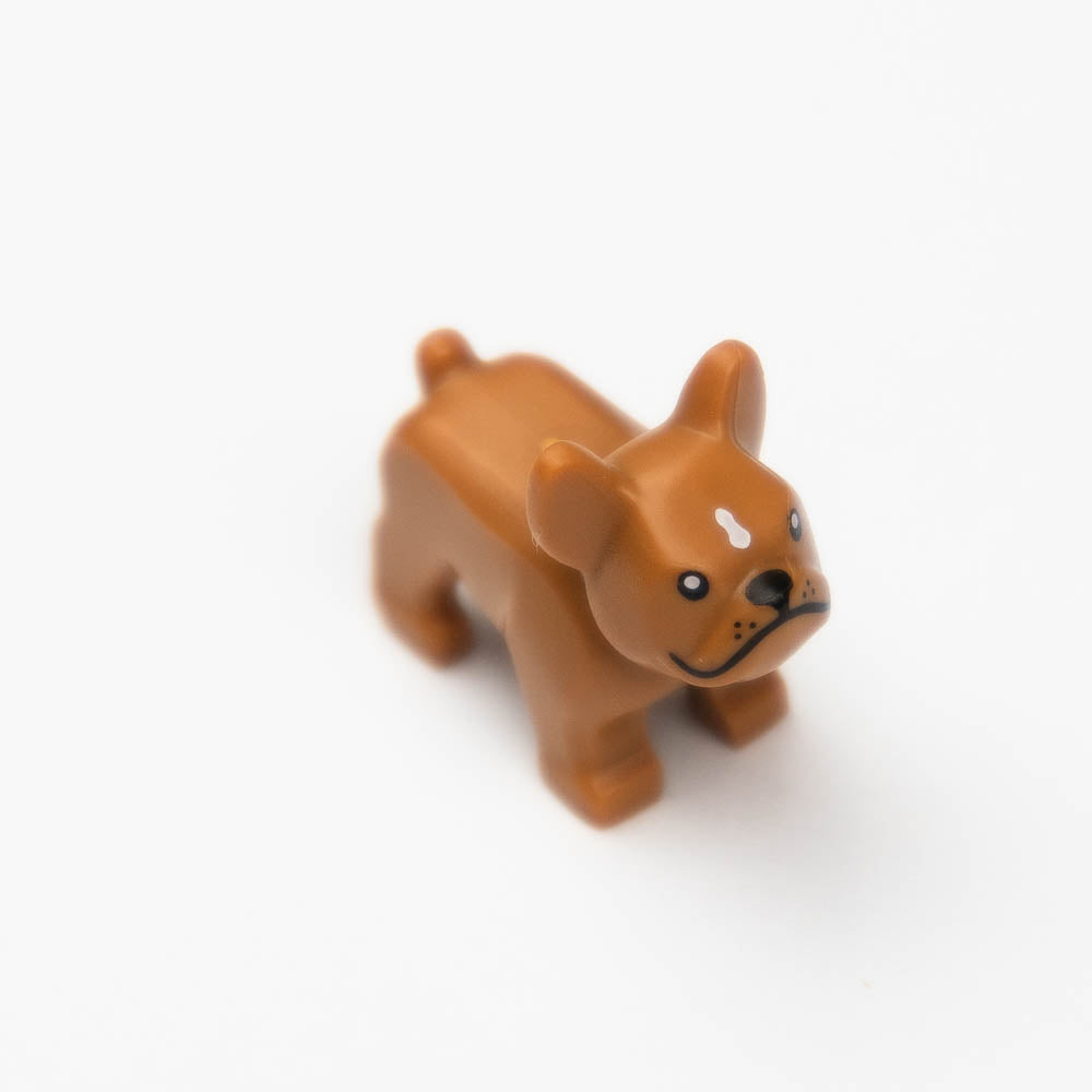 French Bulldog - StudBee