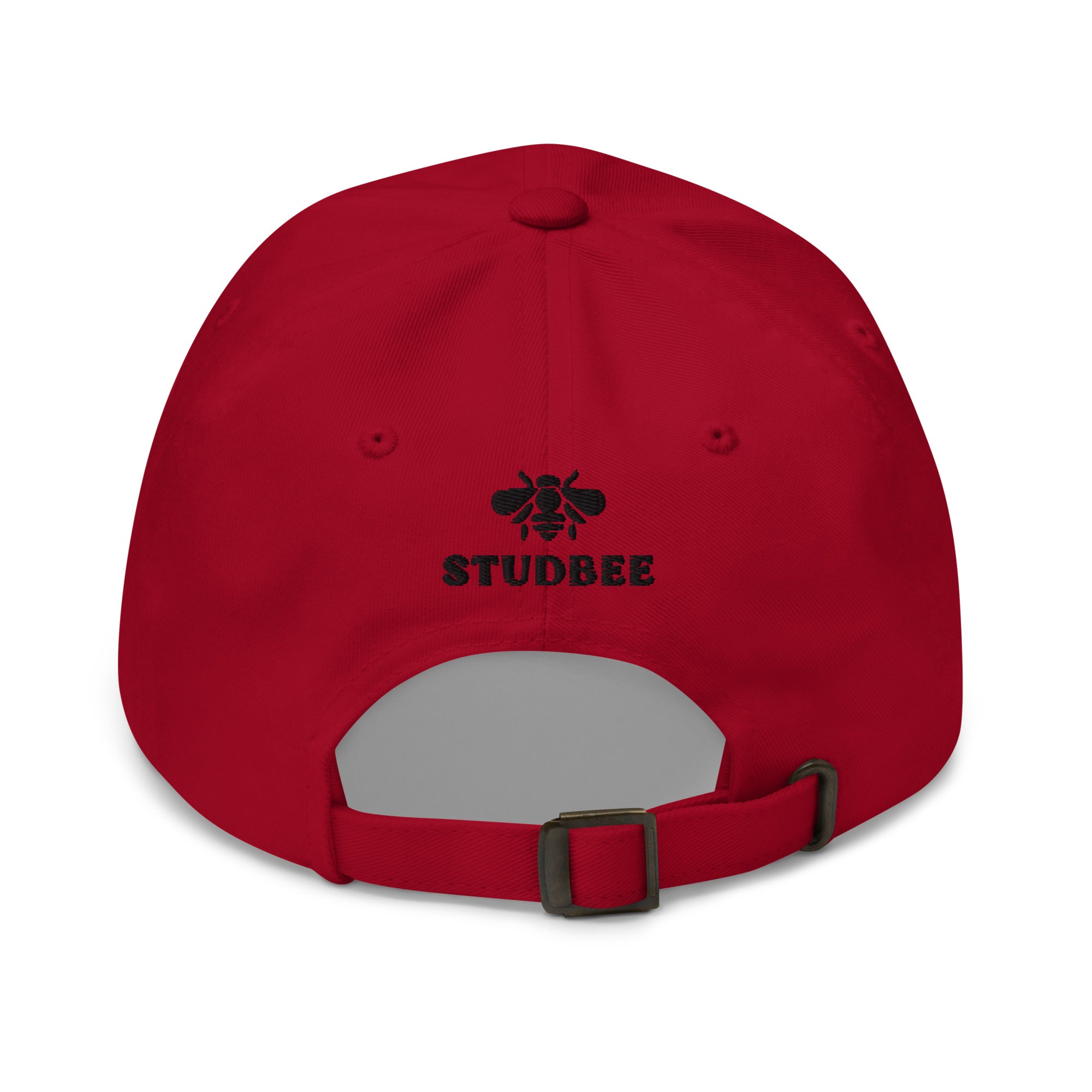 red brick dad hat, back view